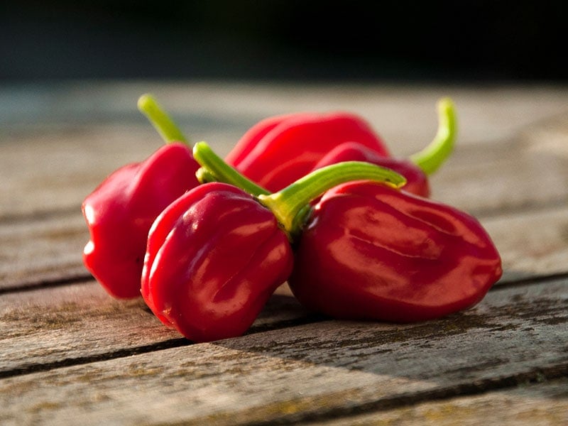 Habanero Peppers