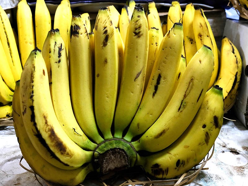 Banana Indo
