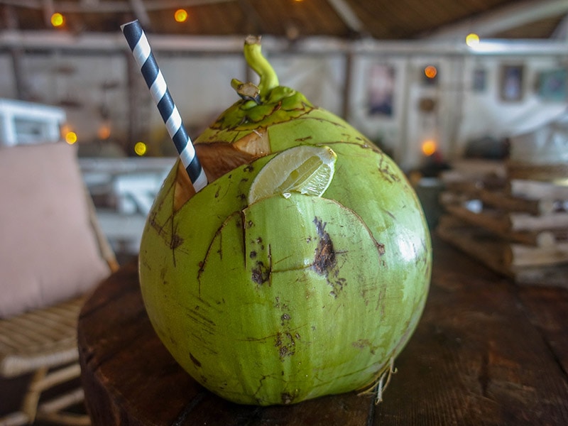 Coconut Indo