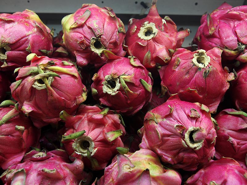 Dragon Fruit Indo