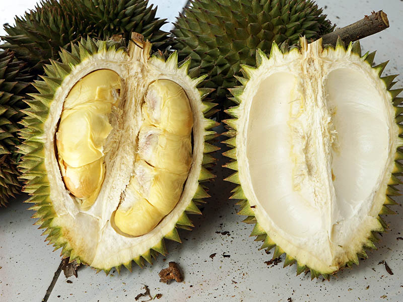 Durian Indo