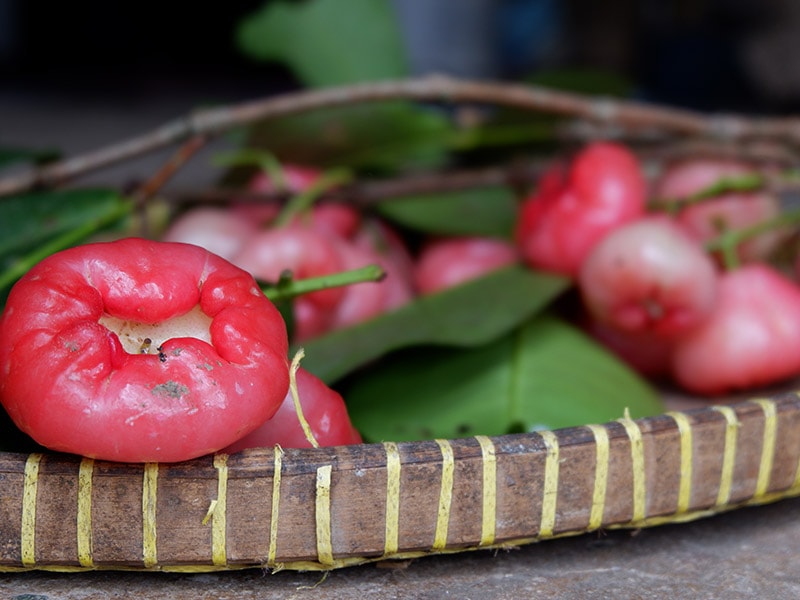 Malay Rose Apple