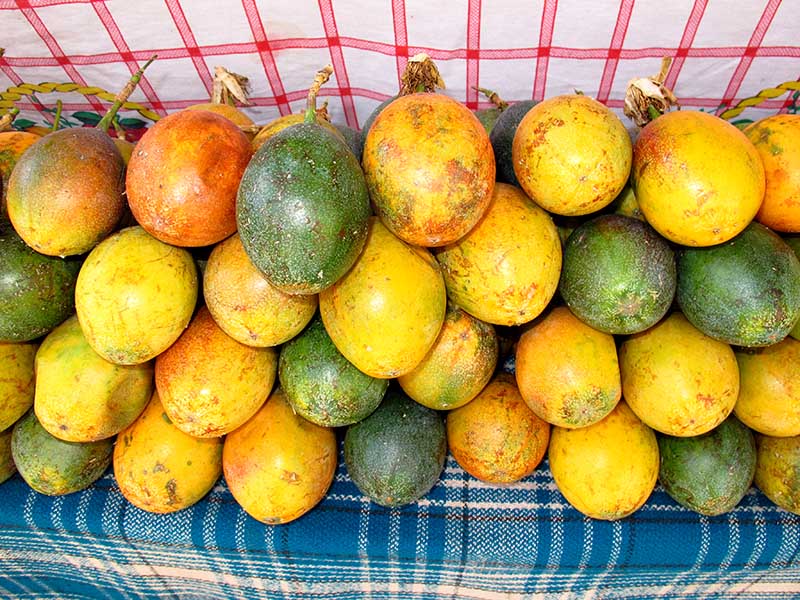 Manga Mango