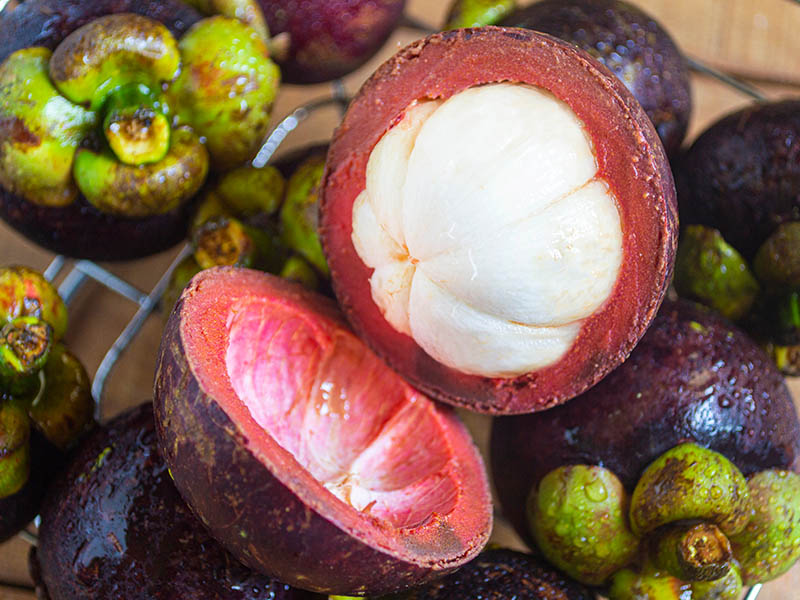 Mangosteen Indo