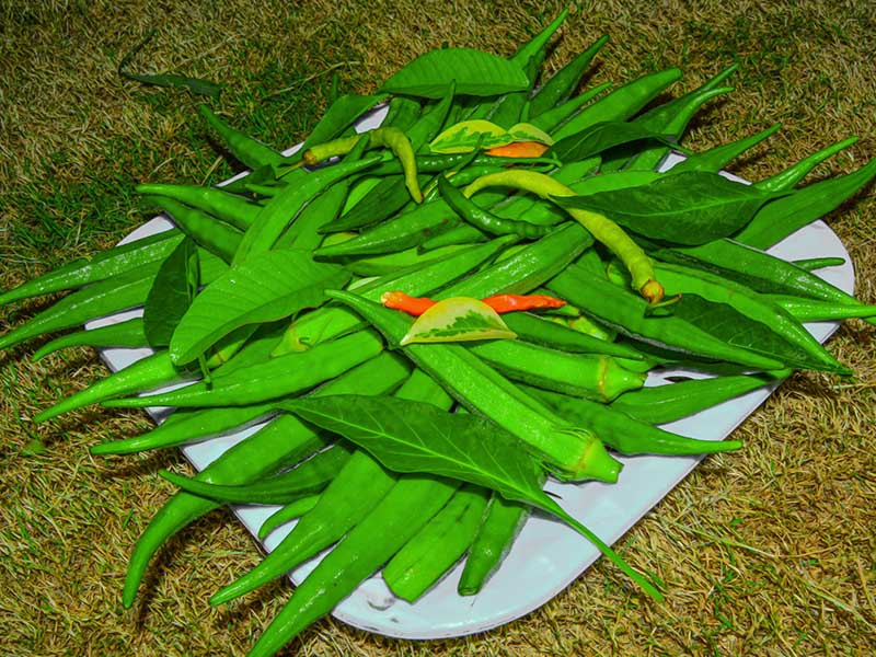 Okra Pakistan