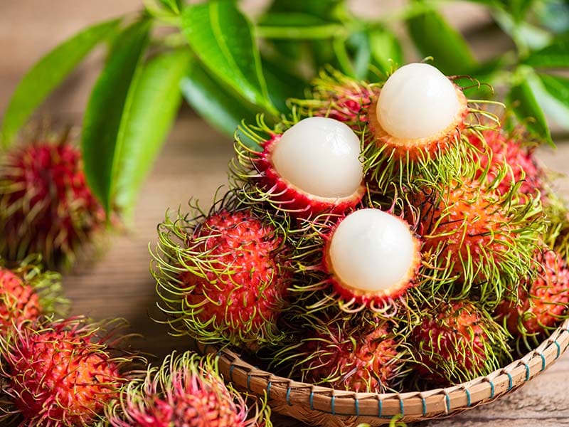 Rambutan List Soon