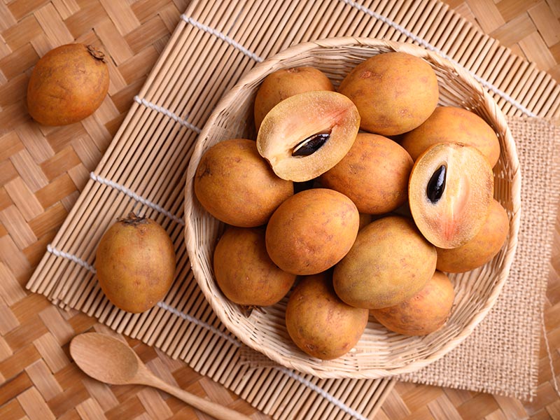 Sapodilla Guatemala