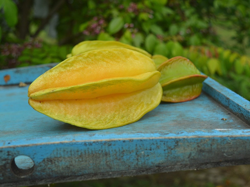 Star Fruit Indo