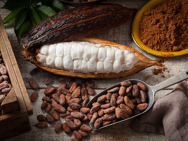 Cacao Beans