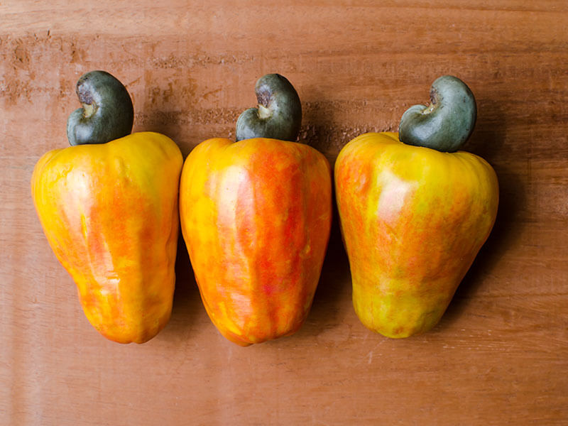 Cajuil Cashew Apple