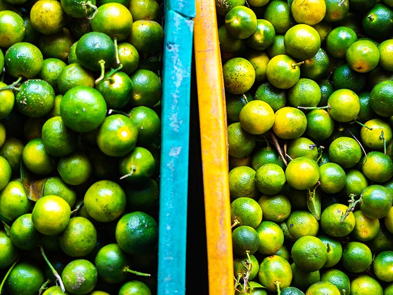 Calamansi Fruit