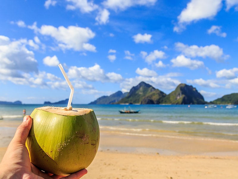 Coconut Fruit