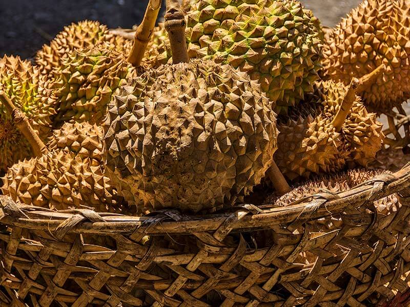 Durian Fruit