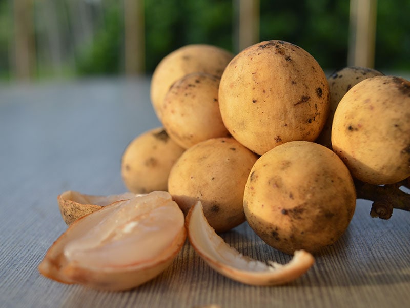 Lanzones Fruit