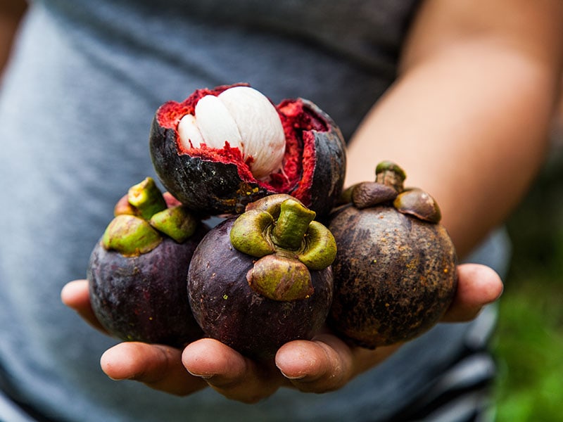 Mangosteen Fruit