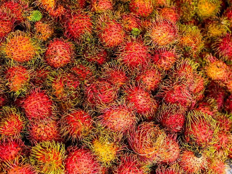 Rambutan Fruit