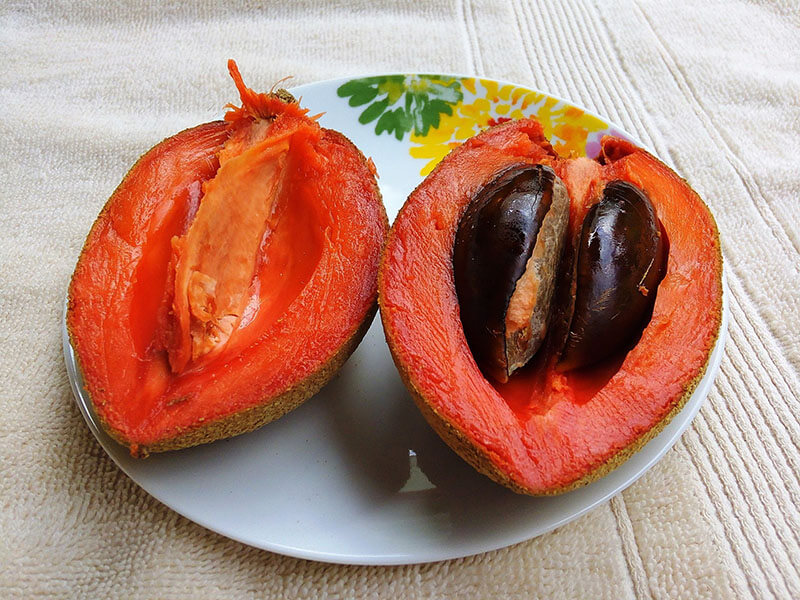 Zapote Mamey Sapote