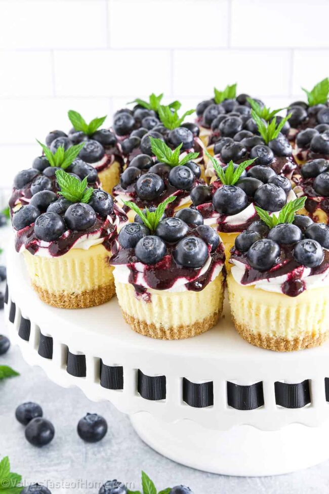 Blueberry Cheesecake Bites