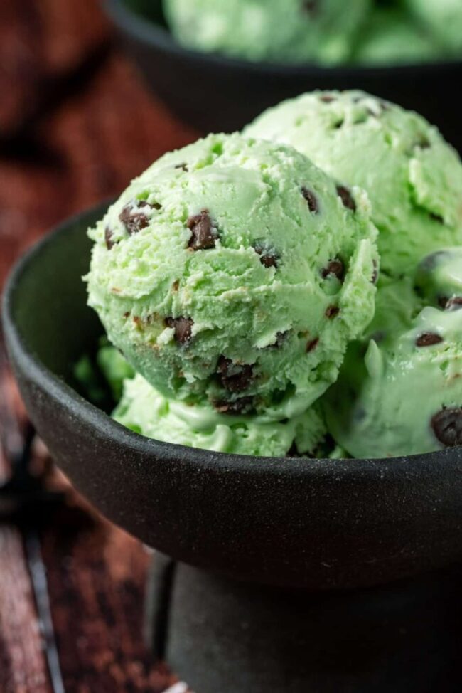 Mint Chocolate Chip Ice Cream