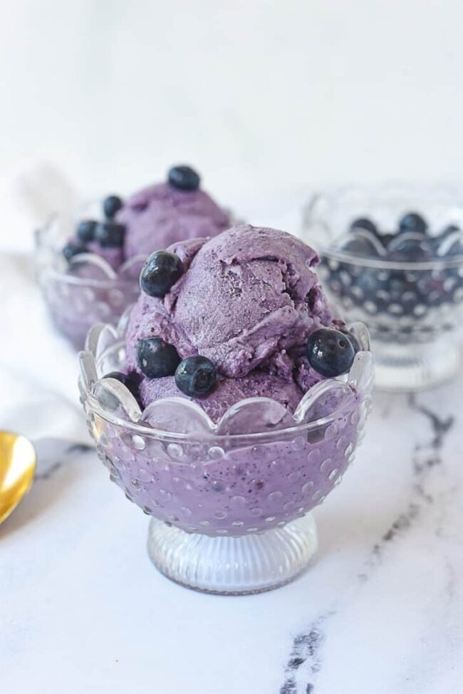 Creamy Blueberry Ice Cream