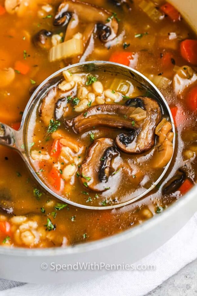 Mushroom Barley Soup