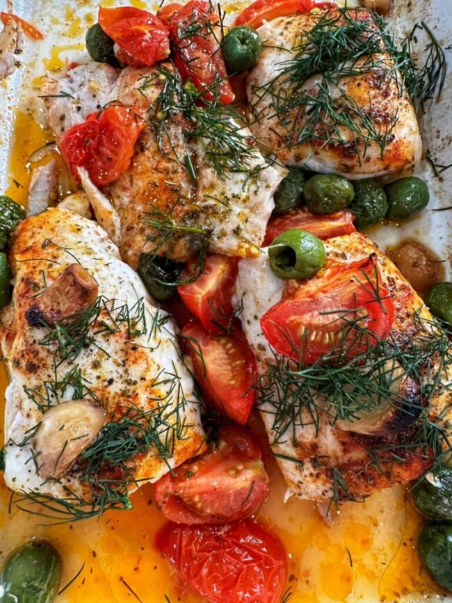 Mediterranean Grouper