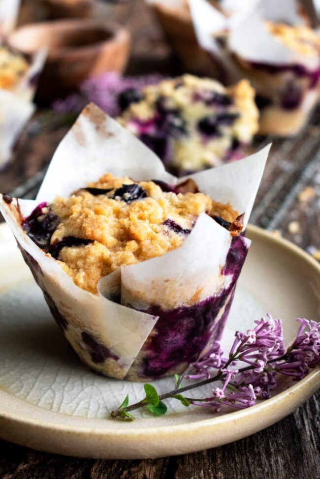 Blueberry Streusel Muffins