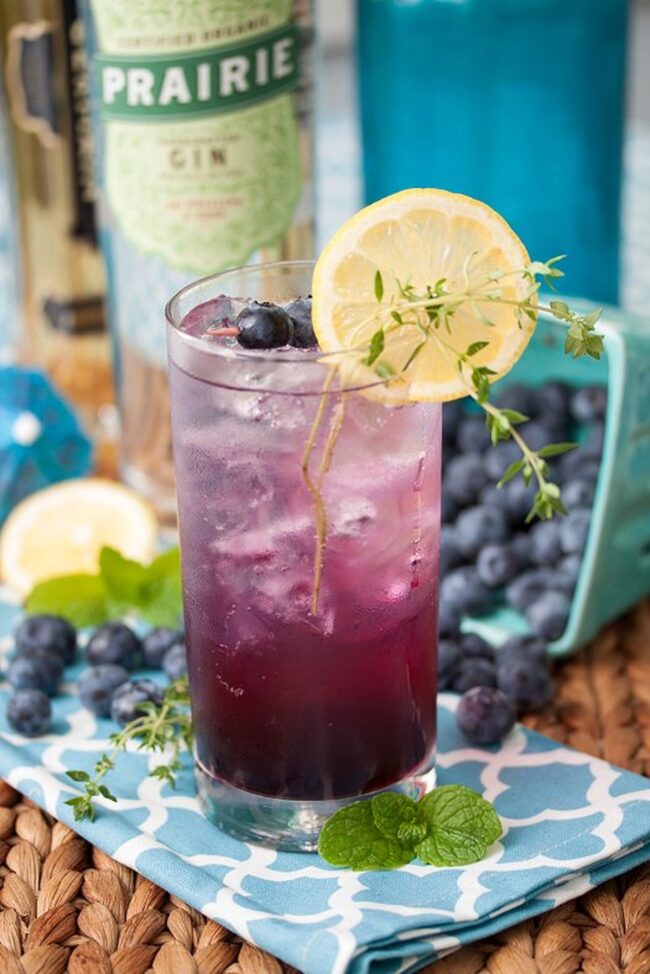 Blueberry Gin Smash