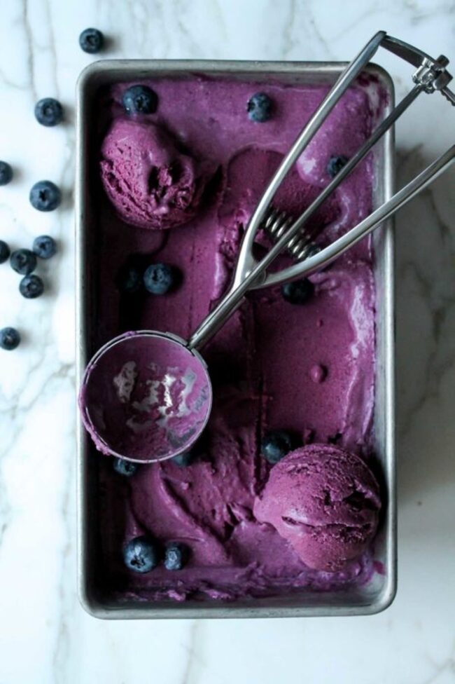 Blueberry Coconut Ice Cream