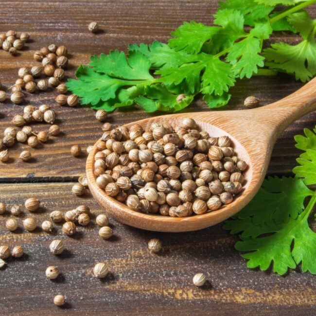 Ground Coriander & Coriander Seeds