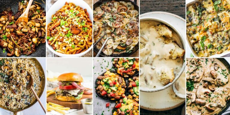 Best Mushroom Recipes